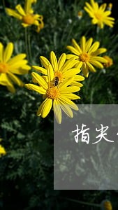 指尖贷逾期1天后果 指尖贷逾期1天后果