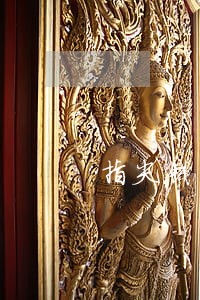 指尖钱包逾期20天了