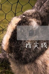 指尖钱包逾期4天催收 指尖钱包逾期4天催收