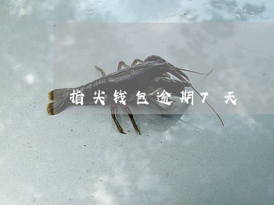 指尖钱包逾期7天 指尖钱包逾期7天