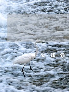 指尖钱包逾期90天 指尖钱包逾期90天