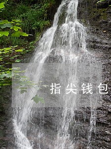 指尖钱包逾期超过8天 指尖钱包逾期超过8天