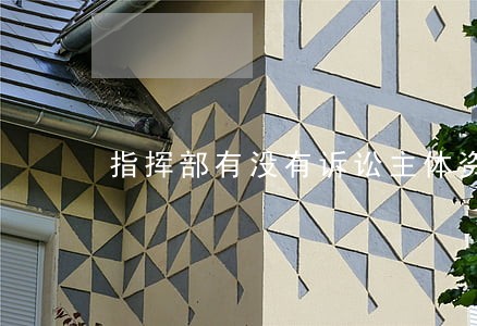 指挥部有没有诉讼主体资格 指挥部有没有诉讼主体资格