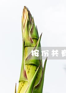 按份共有物如何请求法院处理 按份共有物如何请求法院处理
