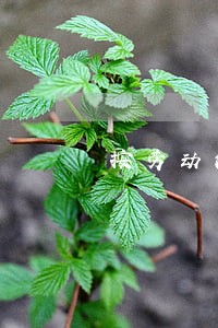 按劳动法上班多久能辞工 按劳动法上班多久能辞工