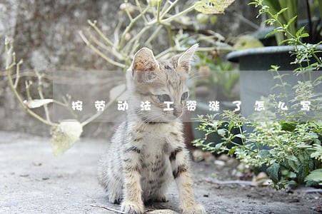 按劳动法工资涨了怎么写通知 按劳动法工资涨了怎么写通知