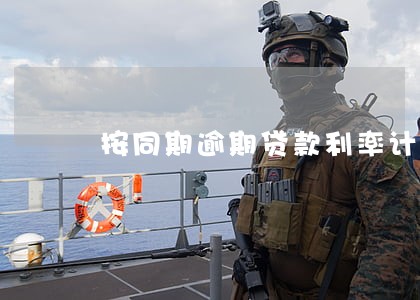 按同期逾期贷款利率计息 按同期逾期贷款利率计息