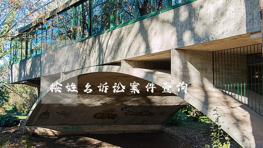 按姓名诉讼案件查询 按姓名诉讼案件查询