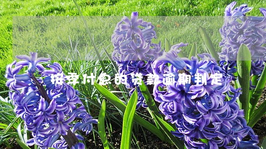 按季付息的贷款逾期判定 按季付息的贷款逾期判定