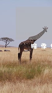 按季结息征信显示10月逾期 按季结息征信显示10月逾期