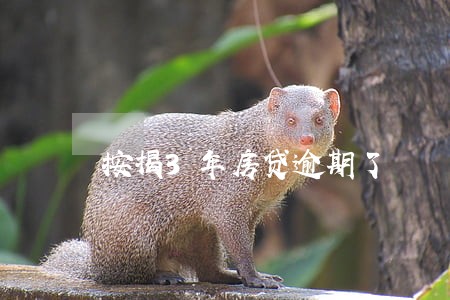 按揭3年房贷逾期了 按揭3年房贷逾期了