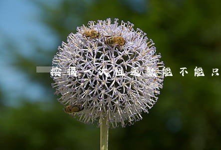 按揭一次性还款能不能只还本金 按揭一次性还款能不能只还本金