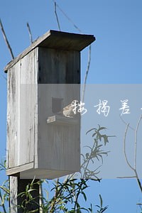 按揭差37元逾期3天 按揭差37元逾期3天