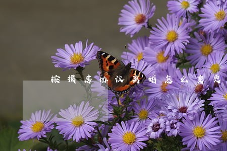 按揭房协议离婚怎么变更 按揭房协议离婚怎么变更