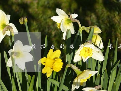 按揭房的银行信用卡逾期 按揭房的银行信用卡逾期