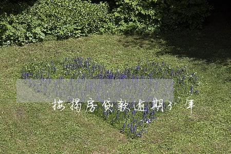 按揭房贷款逾期3年 按揭房贷款逾期3年
