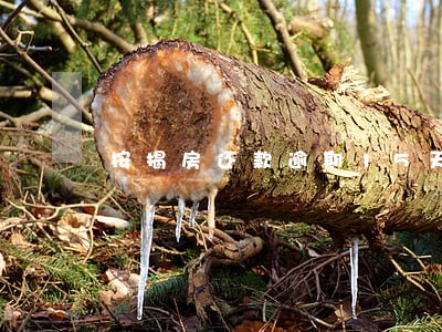 按揭房还款逾期15天后果 按揭房还款逾期15天后果