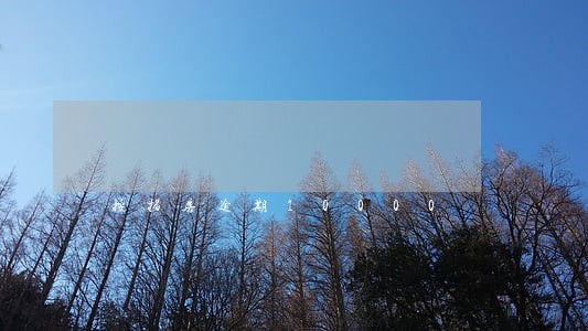 按揭房逾期10000 按揭房逾期10000