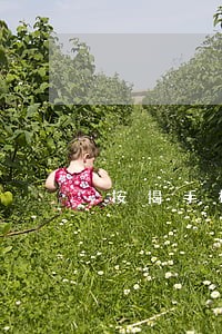 按揭手机可以只还本金吗 按揭手机可以只还本金吗