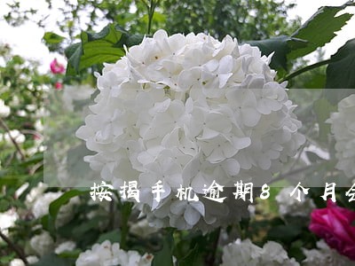 按揭手机逾期8个月会坐牢吗 按揭手机逾期8个月会坐牢吗