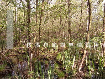 按揭有逾期申请信用卡 按揭有逾期申请信用卡