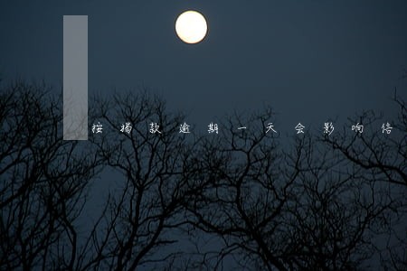 按揭款逾期一天会影响信用吗 按揭款逾期一天会影响信用吗