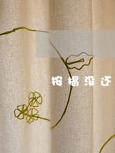 按揭没还完的车抵押贷款逾期