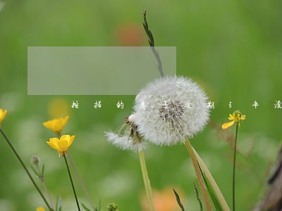 按揭的房子逾期5年没还款怎么办 按揭的房子逾期5年没还款怎么办