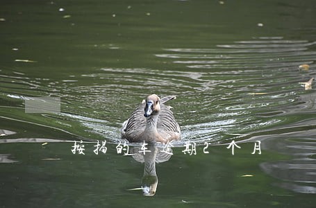 按揭的车逾期2个月 按揭的车逾期2个月