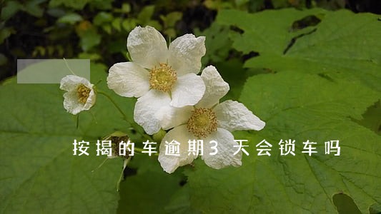 按揭的车逾期3天会锁车吗 按揭的车逾期3天会锁车吗