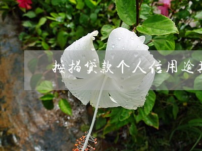 按揭贷款个人信用逾期 按揭贷款个人信用逾期