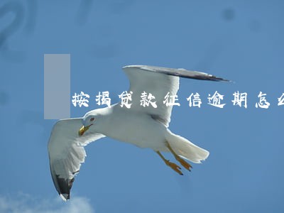 按揭贷款征信逾期怎么办 按揭贷款征信逾期怎么办
