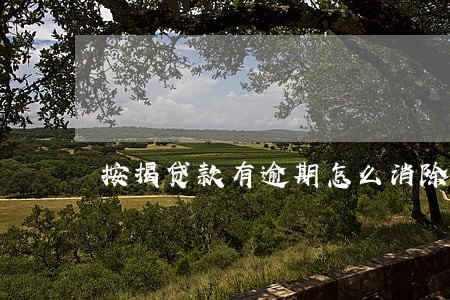 按揭贷款有逾期怎么消除 按揭贷款有逾期怎么消除