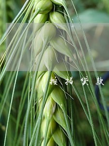 按揭贷款本息逾期90天 按揭贷款本息逾期90天