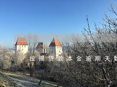 按揭贷款本金逾期天数为0 按揭贷款本金逾期天数为0