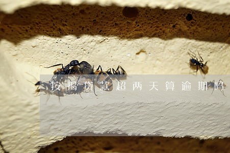 按揭贷款超两天算逾期吗 按揭贷款超两天算逾期吗