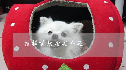 按揭贷款逾期不还 按揭贷款逾期不还