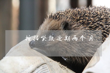 按揭贷款逾期两个月 按揭贷款逾期两个月