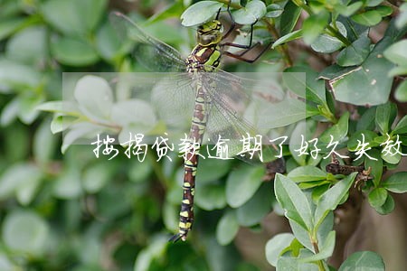 按揭贷款逾期了好久失效 按揭贷款逾期了好久失效