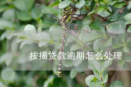 按揭贷款逾期怎么处理 按揭贷款逾期怎么处理
