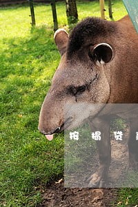 按揭贷款逾期拖车违法吗 按揭贷款逾期拖车违法吗