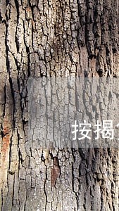按揭贷款逾期未办理责任 按揭贷款逾期未办理责任
