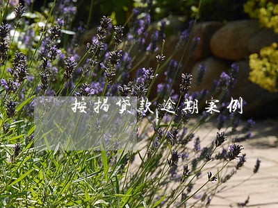 按揭贷款逾期案例 按揭贷款逾期案例