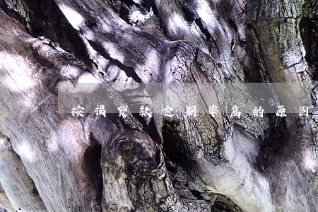 按揭贷款逾期率高的原因 按揭贷款逾期率高的原因