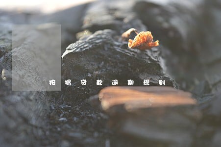按揭贷款逾期规则 按揭贷款逾期规则