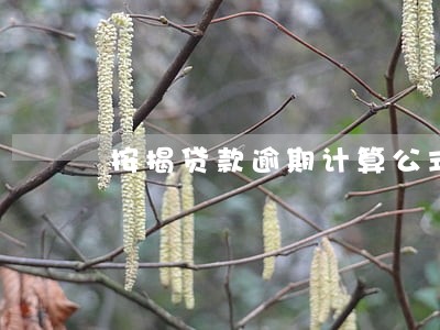 按揭贷款逾期计算公式 按揭贷款逾期计算公式