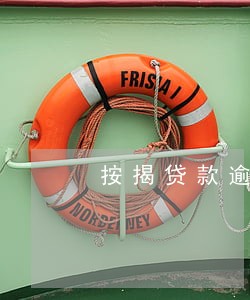 按揭贷款逾期诉状 按揭贷款逾期诉状