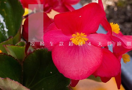 按揭车款超过4天算逾期