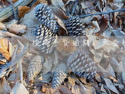 按揭车贷逾期8天会被拖车吗 按揭车贷逾期8天会被拖车吗