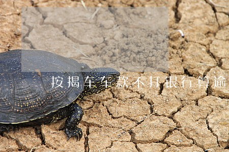 按揭车车款不打银行算逾期吗